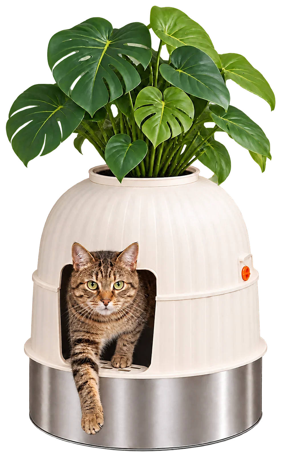 A tabby cat peeking out of the Hidden Planter Litter Box